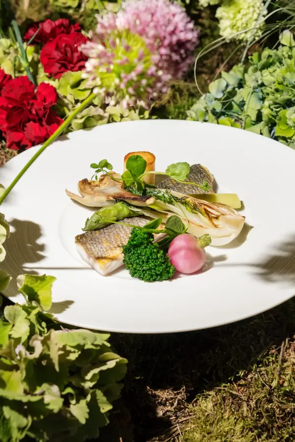 Assiette de poisson et légumes de saison